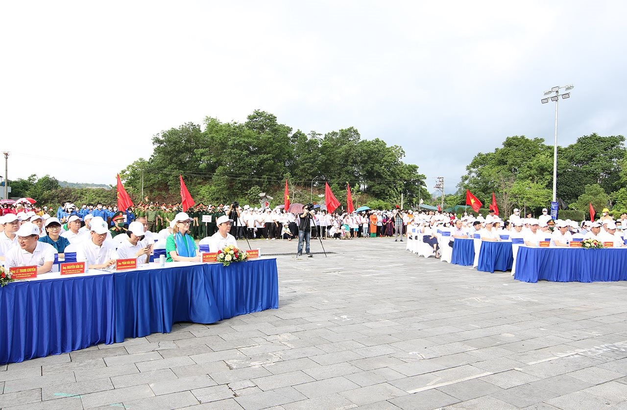 Không có ảnh